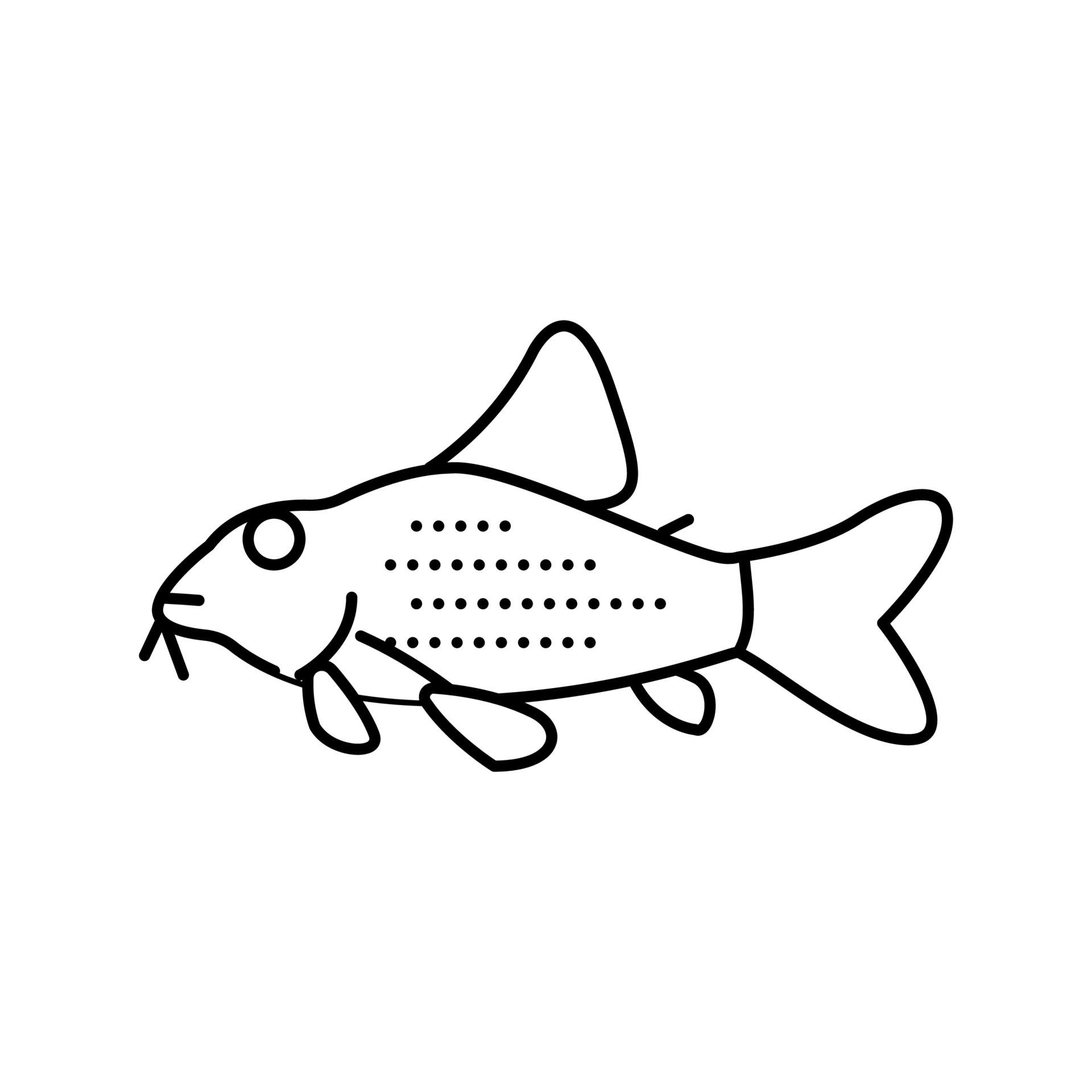 cory catfish line icon vector illustration 19543387 Vector Art at Vecteezy