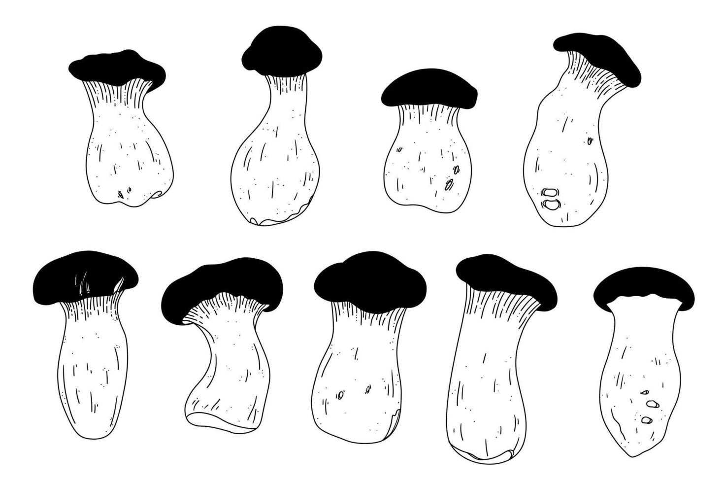 ilustración vectorial de hongo vintage. conjunto de setas de ostra rey. línea colección de dibujo gourmet de comida asiática. estilo saludable de nutrición vector
