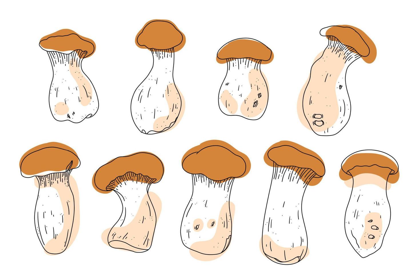 Vector asian food. Healthy vegan, vegeterian fungus. King oyster in line style with spots. Edible mushrooms for gourmet