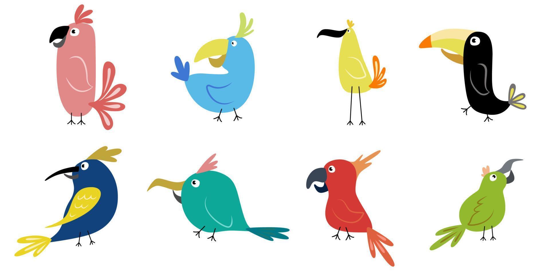 divertidos pájaros de dibujos animados. colección de loros de ilustración vector