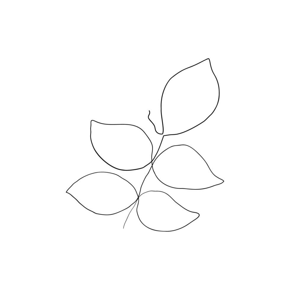 Leaf line art. Contour hand draw. Minimalism art. Modern decor. Vector illustration. EPS10