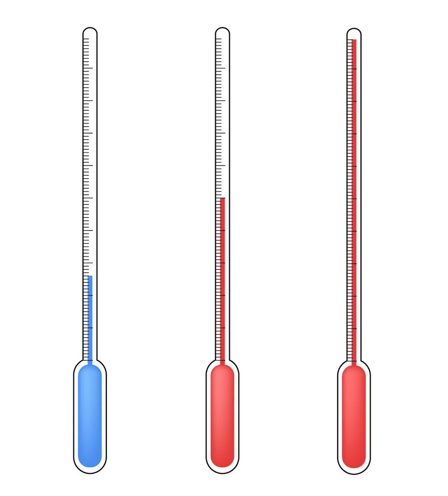 Graduated mercury thermometers  on a white background vector