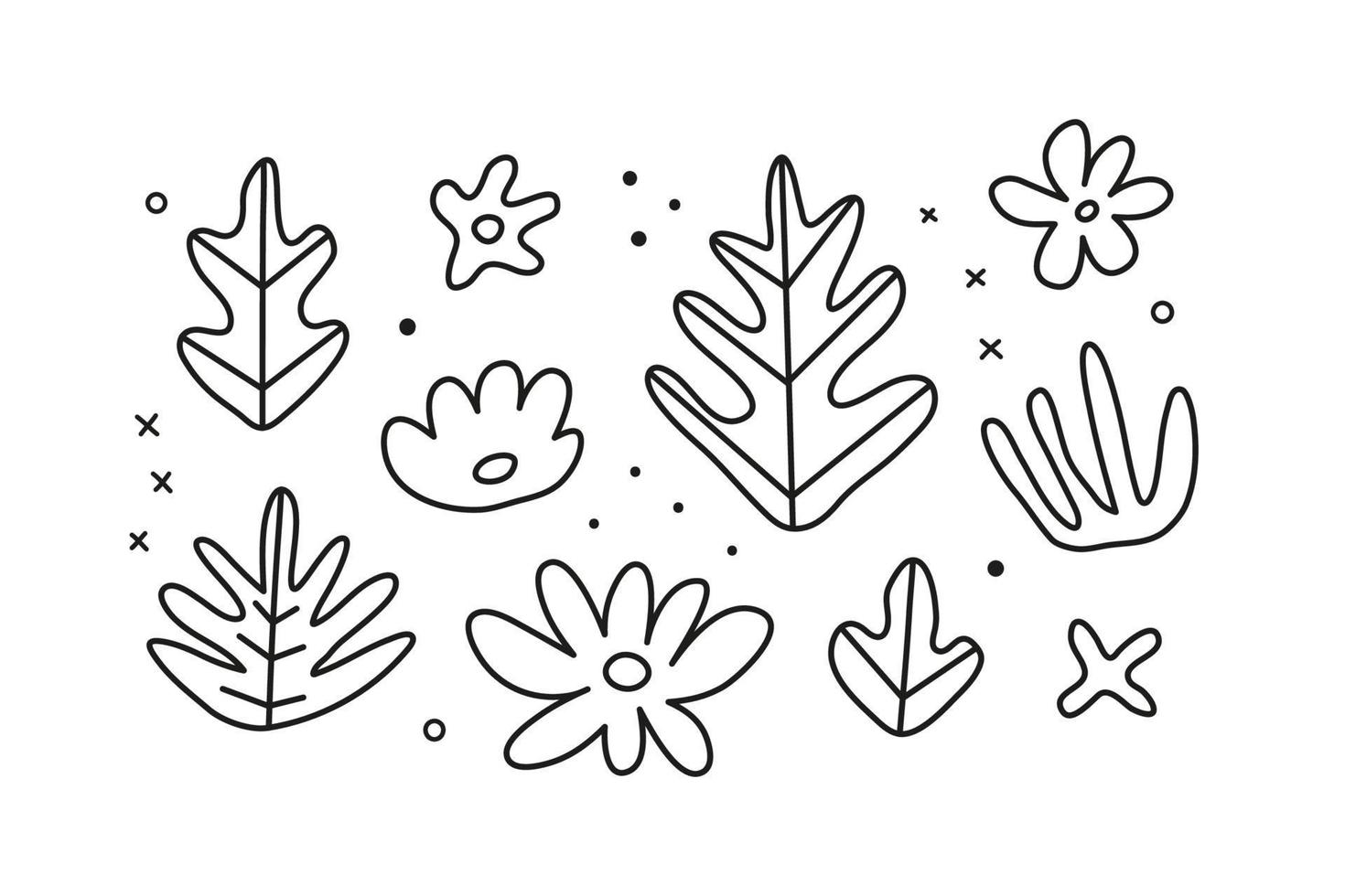 Set of doodle outline tropical leaves and flowers. vector