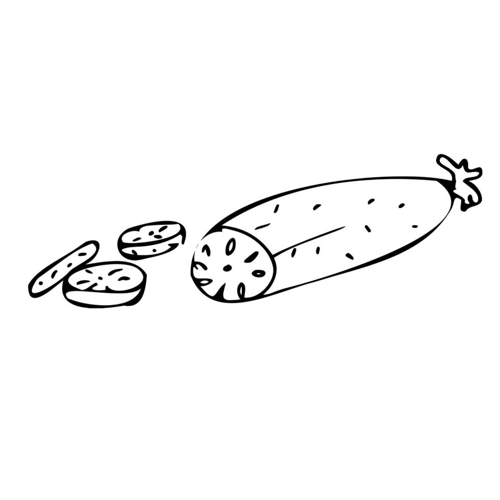 Plants Fruits Vegetables Harvest. A menu for the vegetarian. Doodle illustration. vector