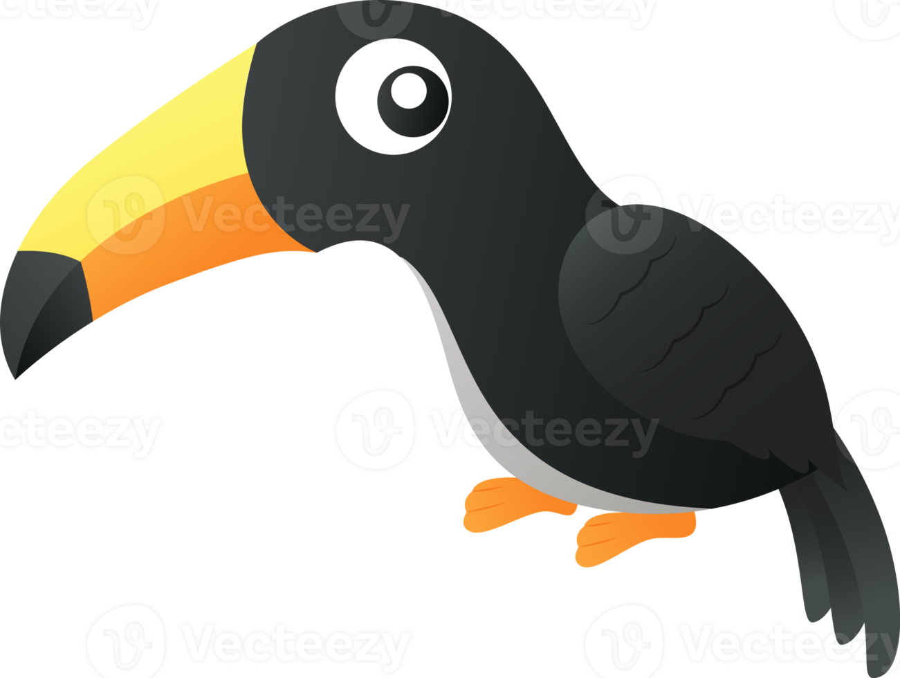 Toucan bird . Cute cartoon character . png