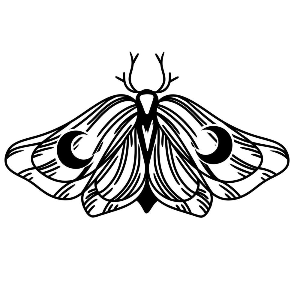 butterfly  moth Magic Symbols vector