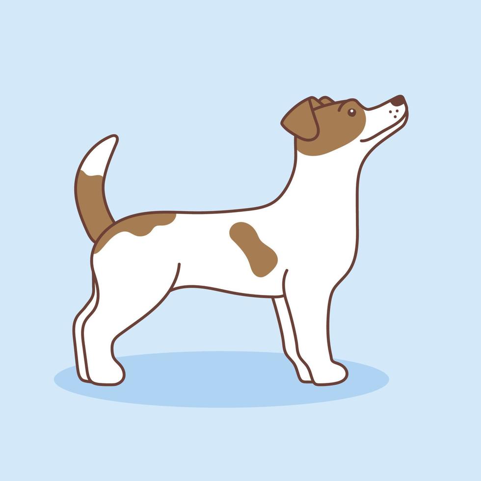 Vector cartoon illustration of a Jack Russell terrier. The dog is standing sideways with head raised, Isolated on a blue background. Pets, animals, dog theme - a design element in a flat style.