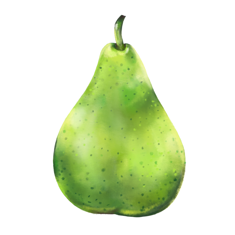 Ripe green pear .Hand drawn illustration png