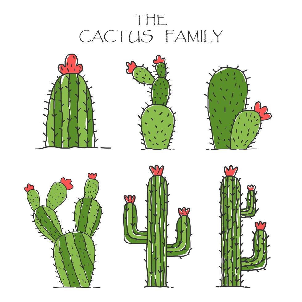 Cactus Collection Set Cartoon Style. Colorful Cute Illustration vector