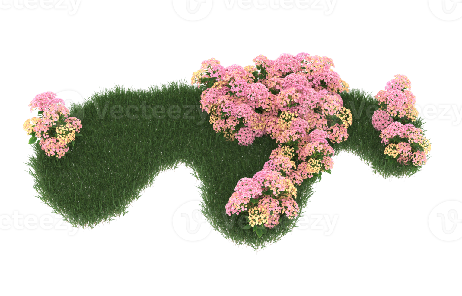 Realistic foliage isolated on transparent background. 3d rendering - illustration png