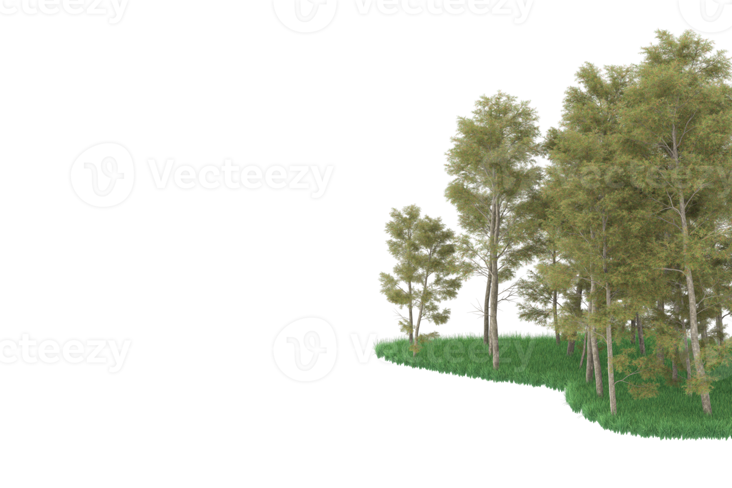 Realistic forest isolated on transparent background. 3d rendering - illustration png