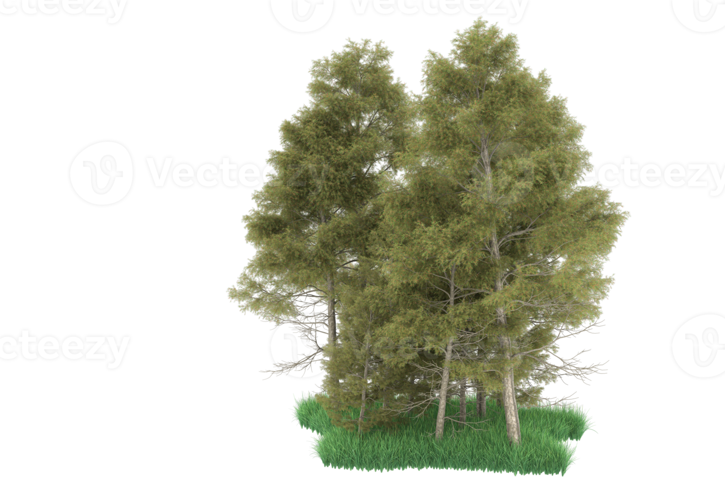 Realistic forest isolated on transparent background. 3d rendering - illustration png