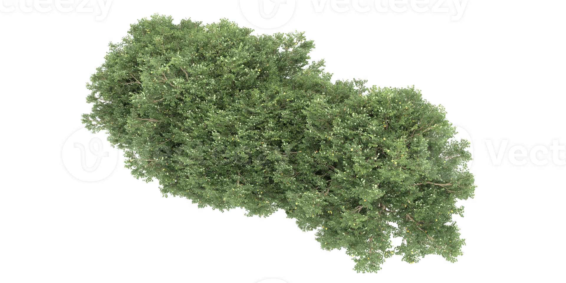 Realistic forest isolated on transparent background. 3d rendering - illustration png