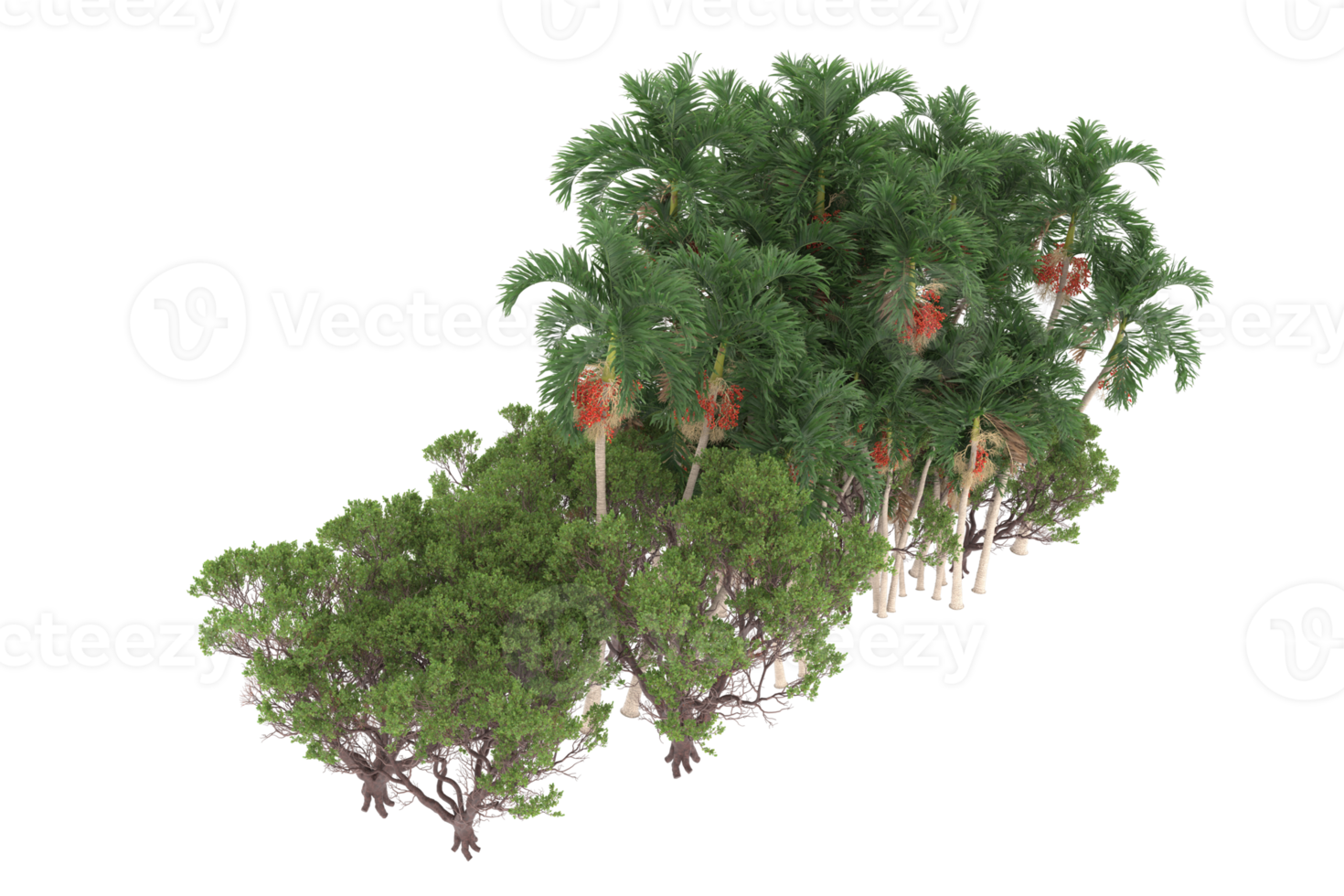 Palm trees isolated on transparent background. 3d rendering - illustration png