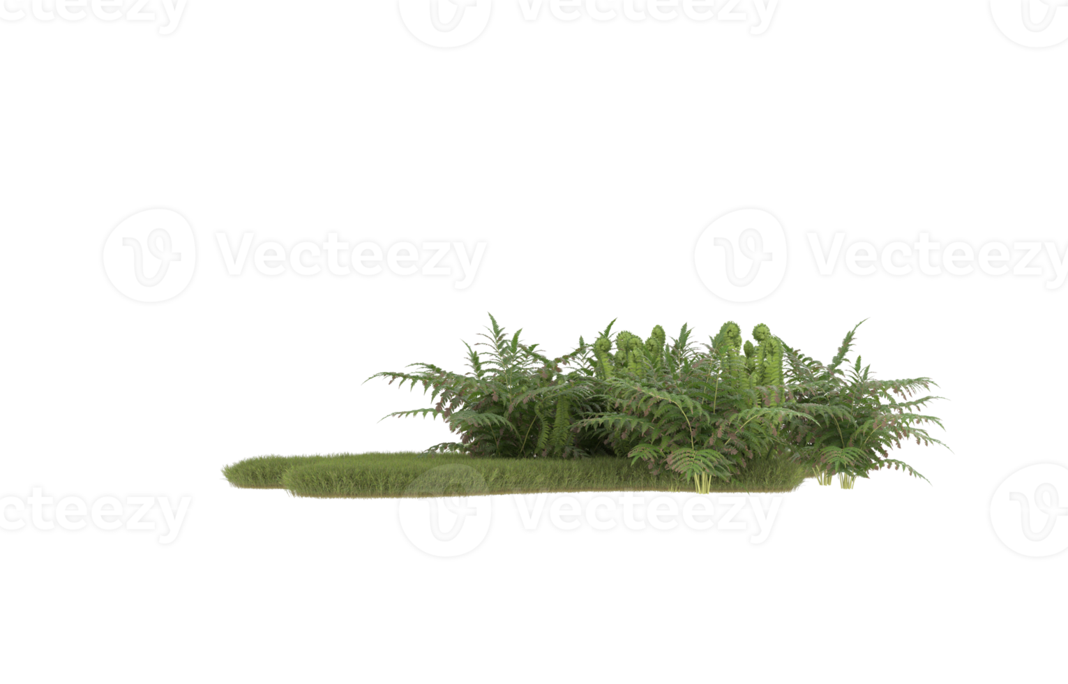 Realistic foliage isolated on transparent background. 3d rendering - illustration png