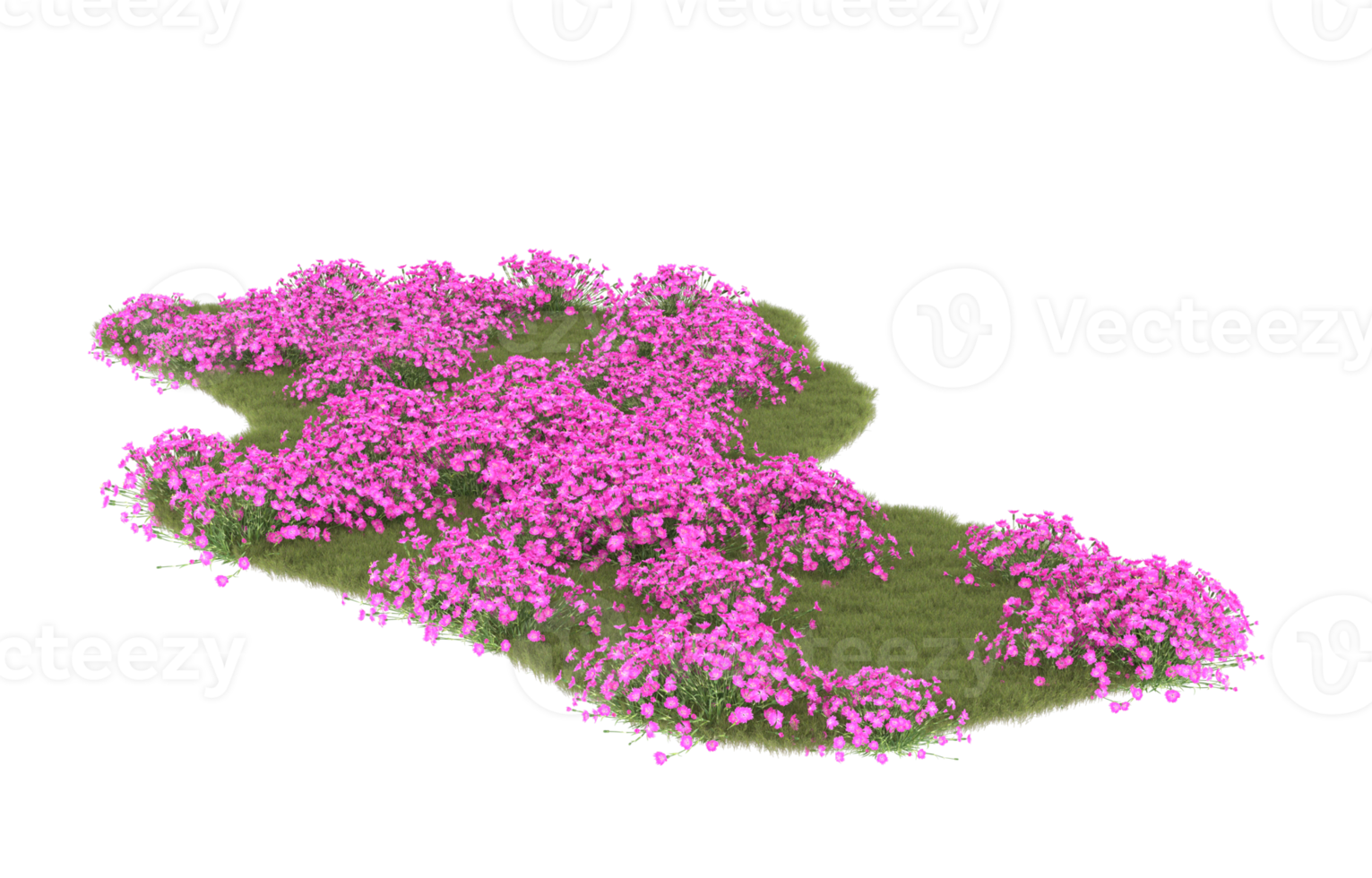 realistisk lövverk isolerat på transparent bakgrund. 3d tolkning - illustration png