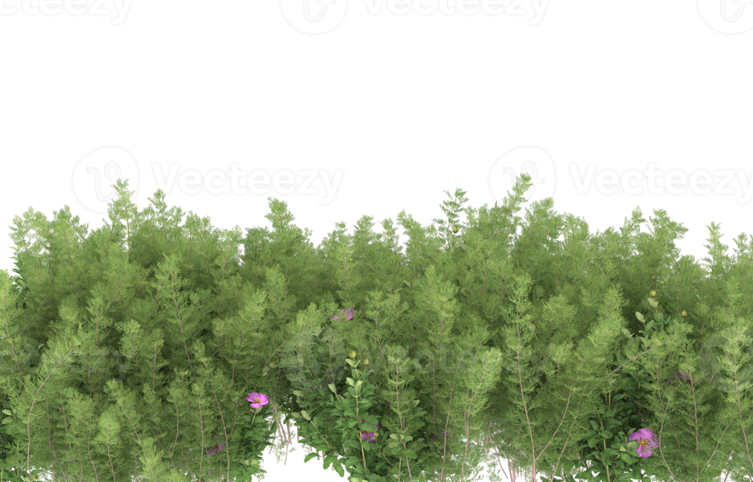 Realistic foliage isolated on transparent background. 3d rendering - illustration png
