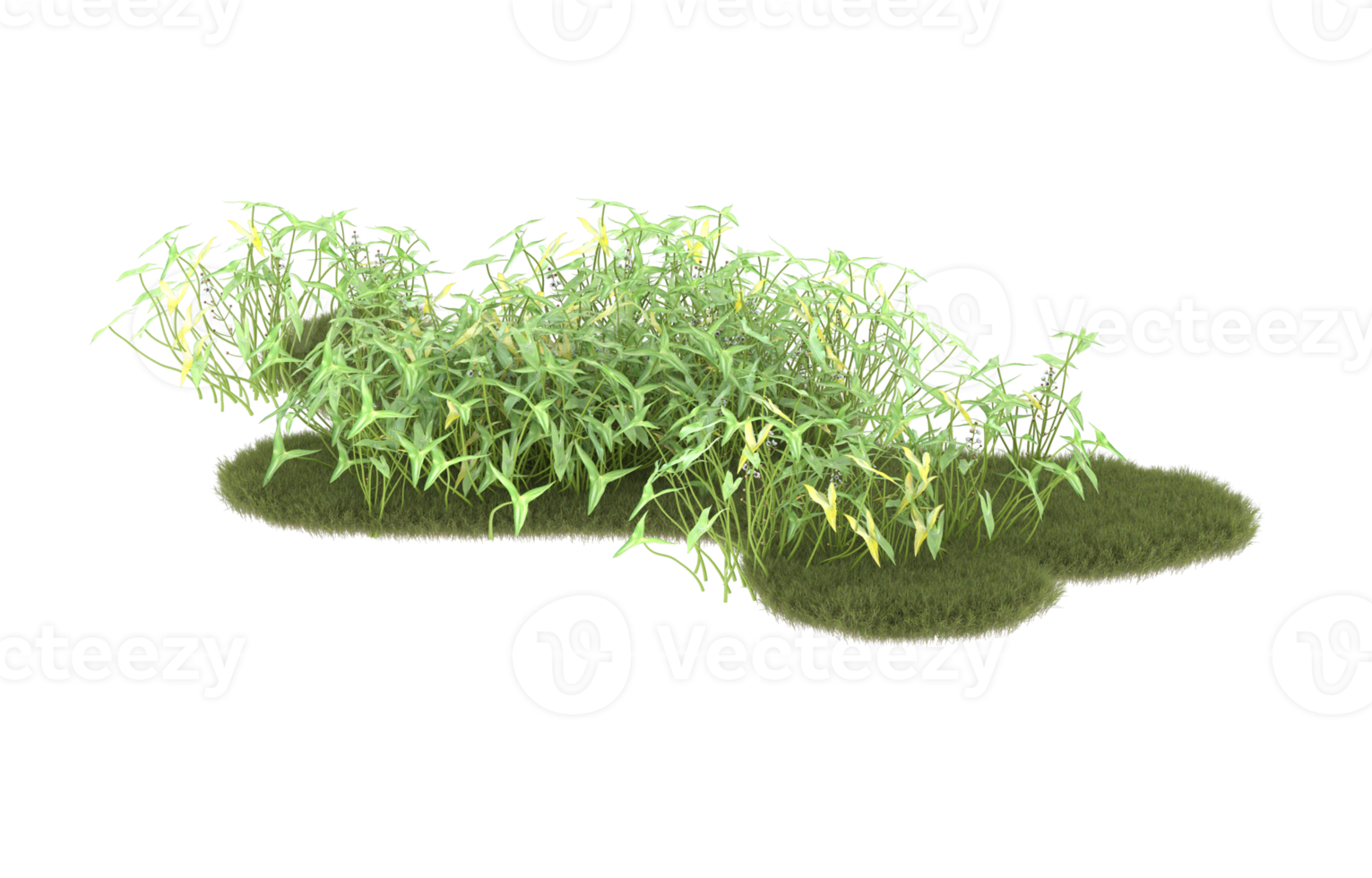 Realistic foliage isolated on transparent background. 3d rendering - illustration png