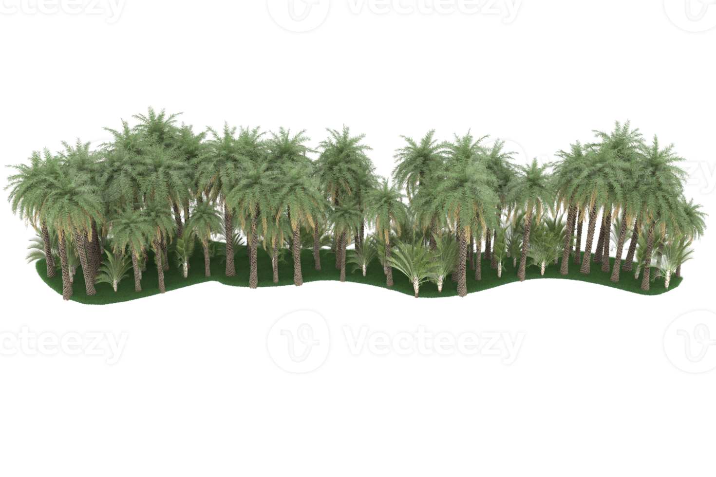 Palm trees isolated on transparent background. 3d rendering - illustration png