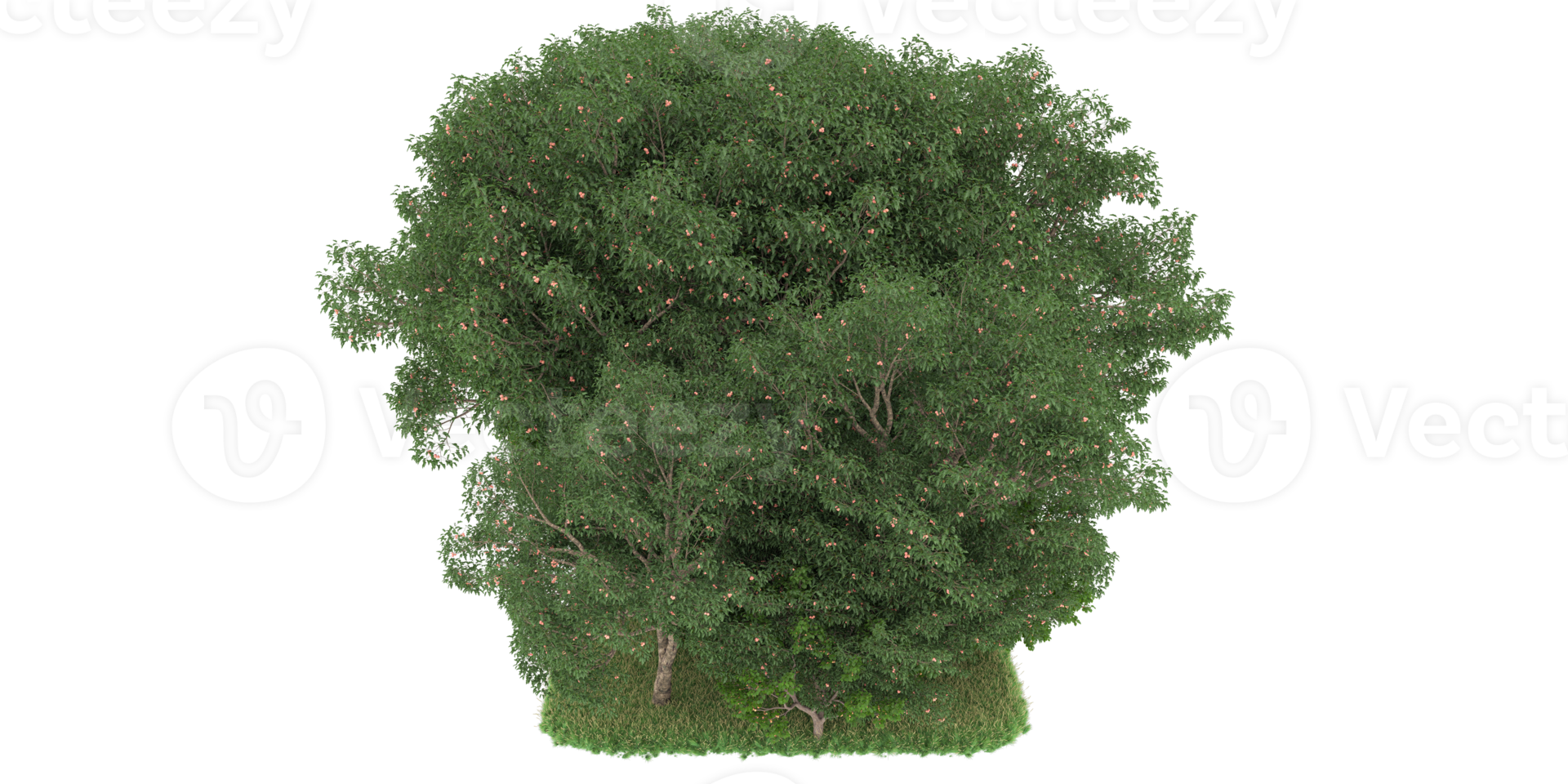 forêt réaliste isolée sur fond transparent. rendu 3d - illustration png