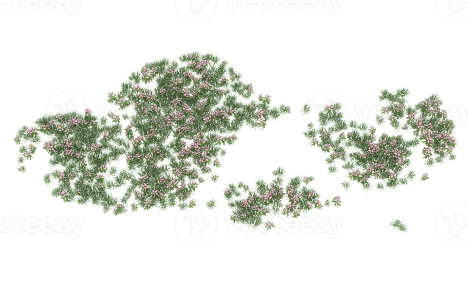 realistisk lövverk isolerat på transparent bakgrund. 3d tolkning - illustration png