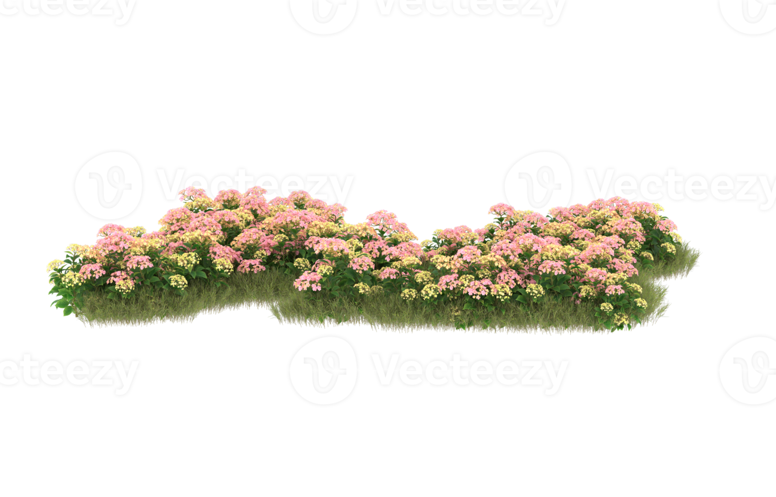 realistisk lövverk isolerat på transparent bakgrund. 3d tolkning - illustration png