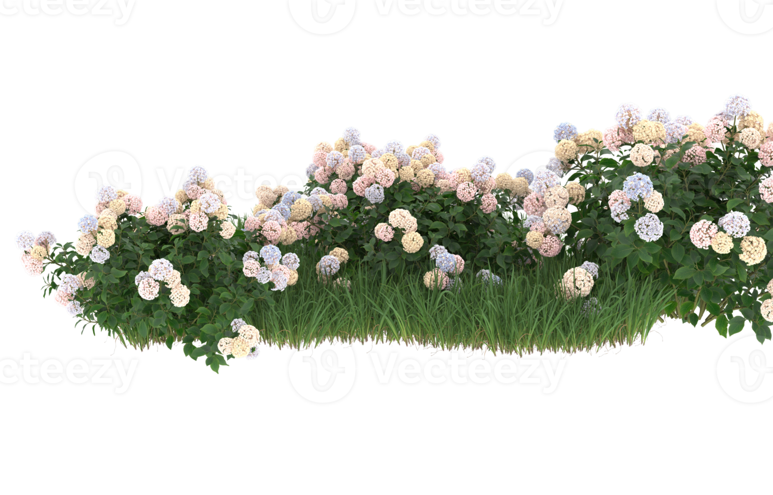 Realistic foliage isolated on transparent background. 3d rendering - illustration png