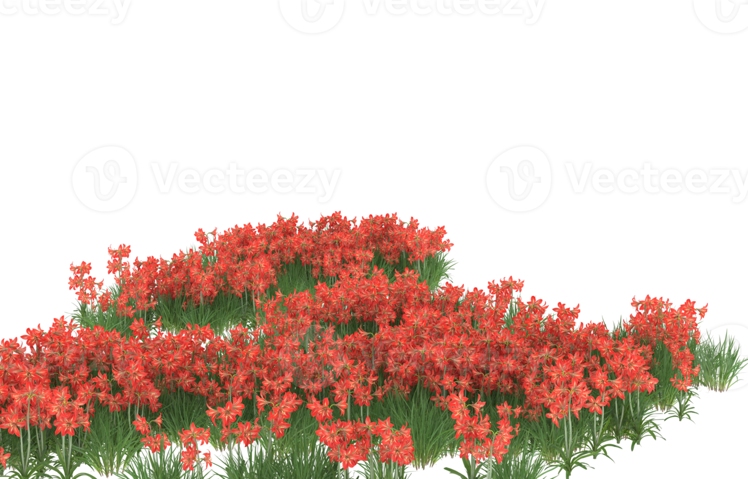 Realistic foliage isolated on transparent background. 3d rendering - illustration png