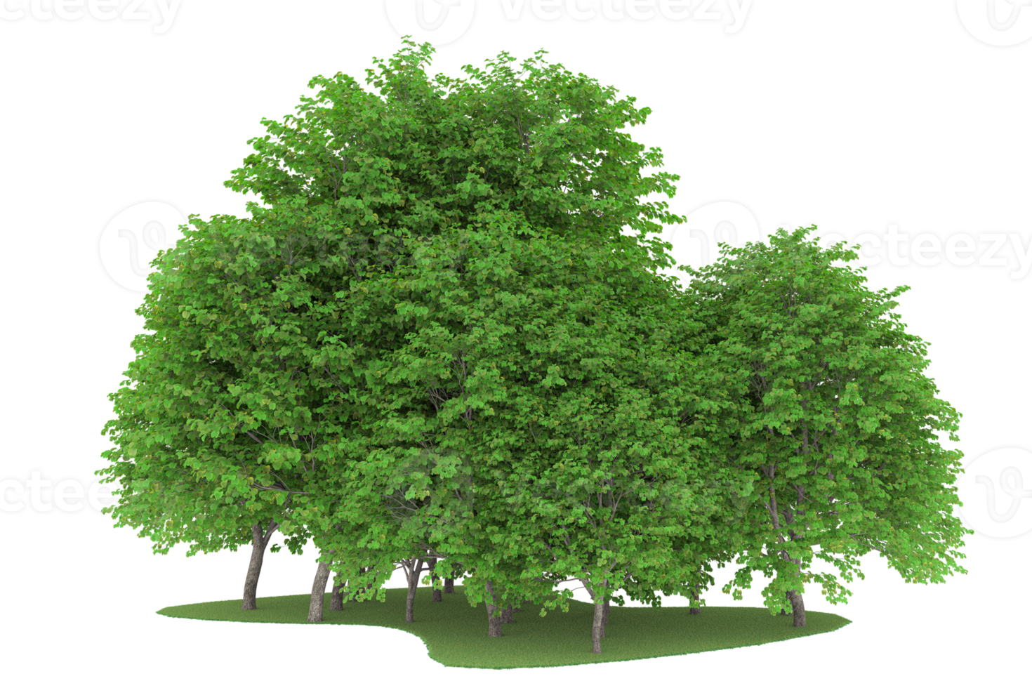Realistic forest isolated on transparent background. 3d rendering - illustration png