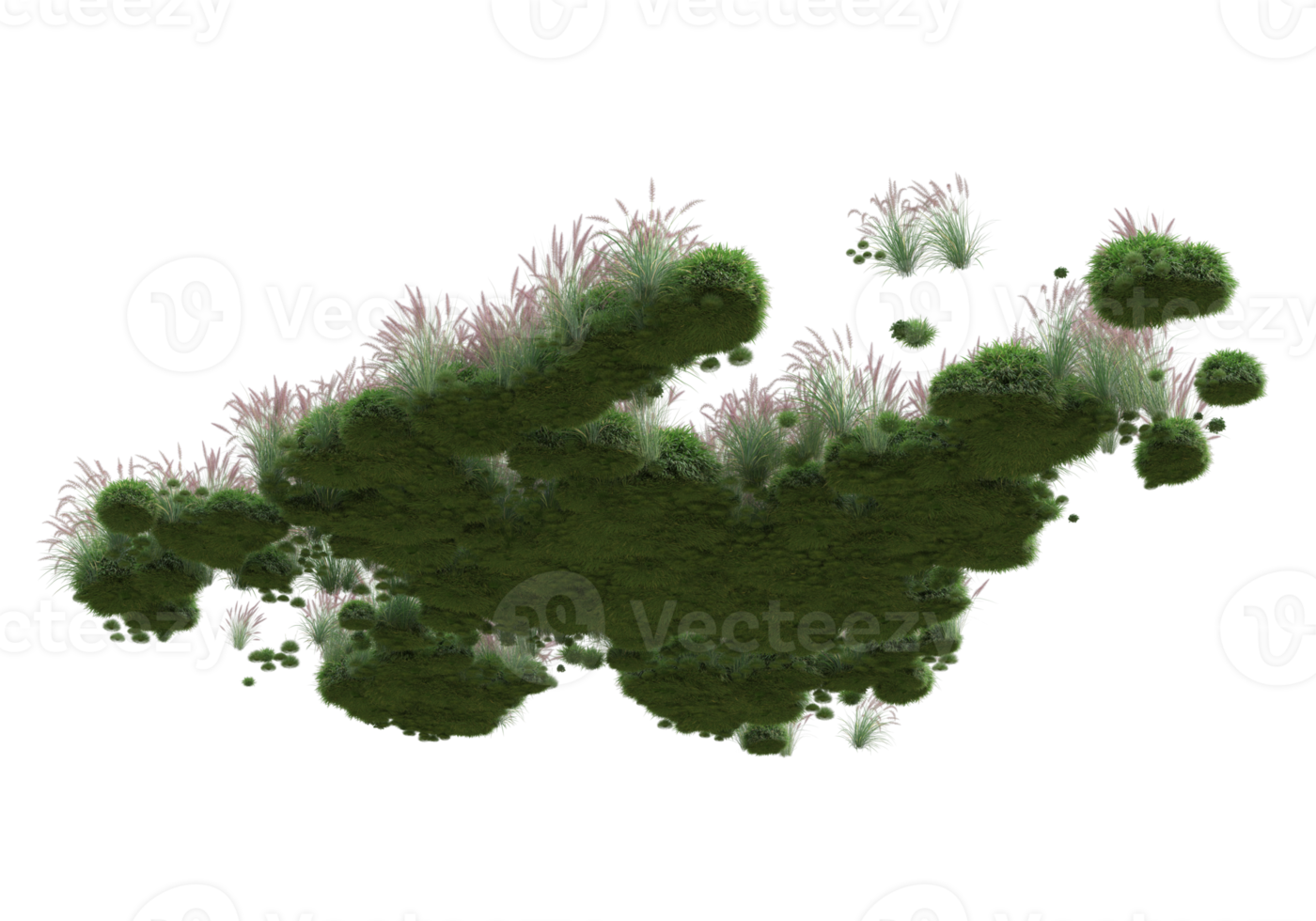 Realistic foliage isolated on transparent background. 3d rendering - illustration png