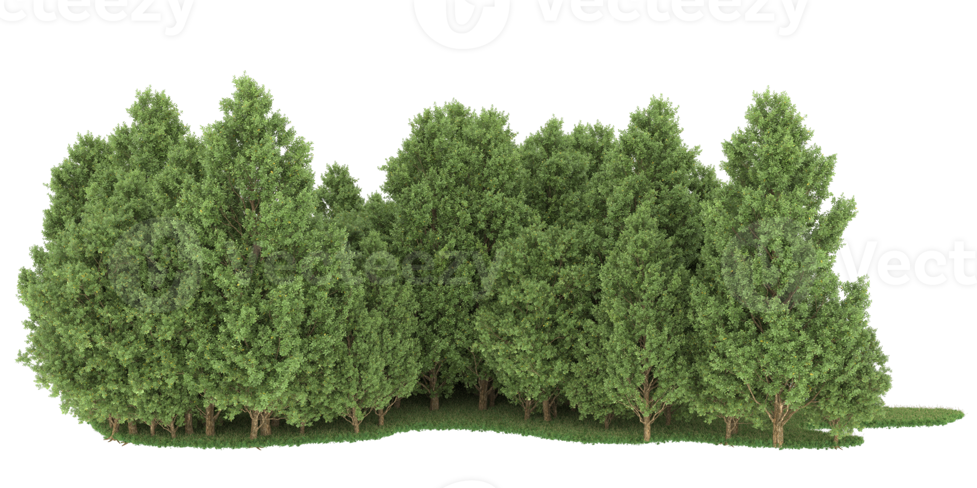Realistic forest isolated on transparent background. 3d rendering - illustration png