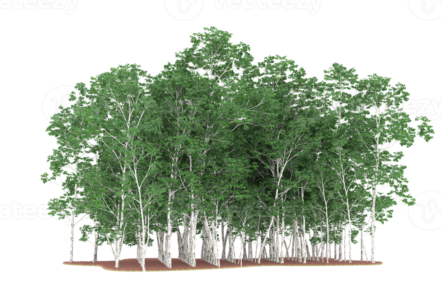 Realistic forest isolated on transparent background. 3d rendering - illustration png