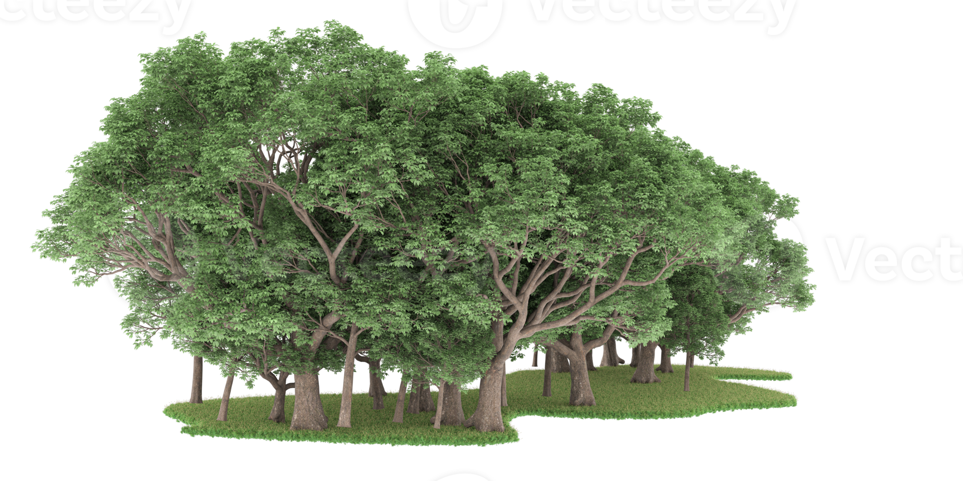 Realistic forest isolated on transparent background. 3d rendering - illustration png