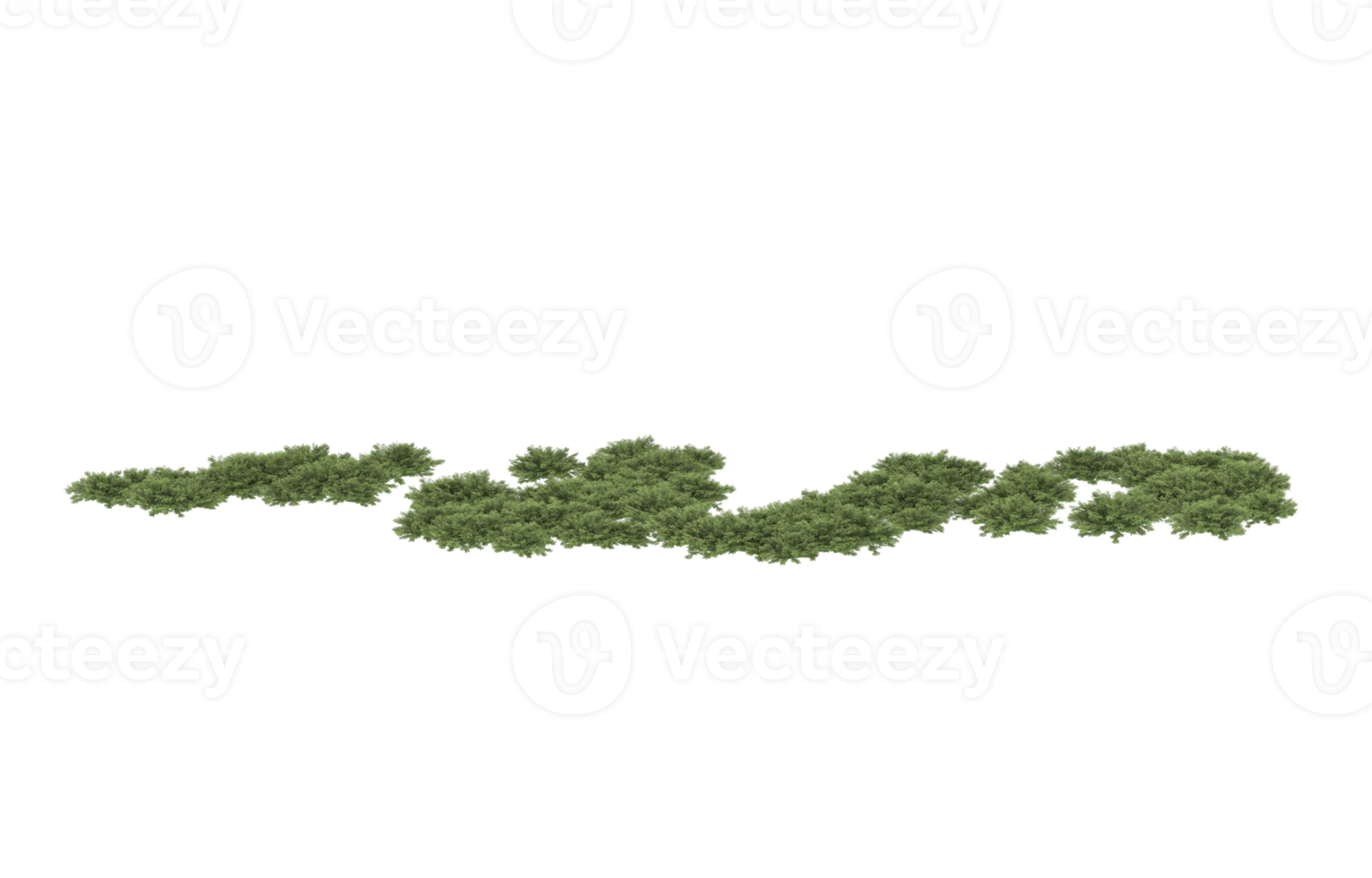 realistisk lövverk isolerat på transparent bakgrund. 3d tolkning - illustration png