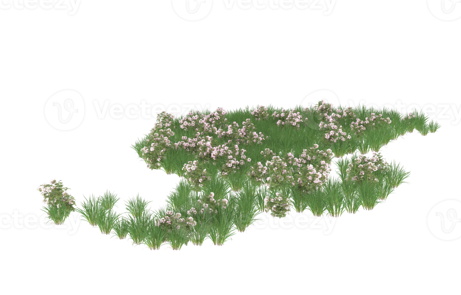 Realistic foliage isolated on transparent background. 3d rendering - illustration png