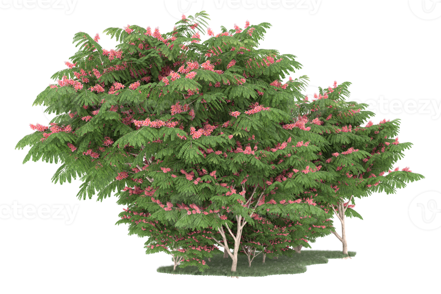 Realistic forest isolated on transparent background. 3d rendering - illustration png