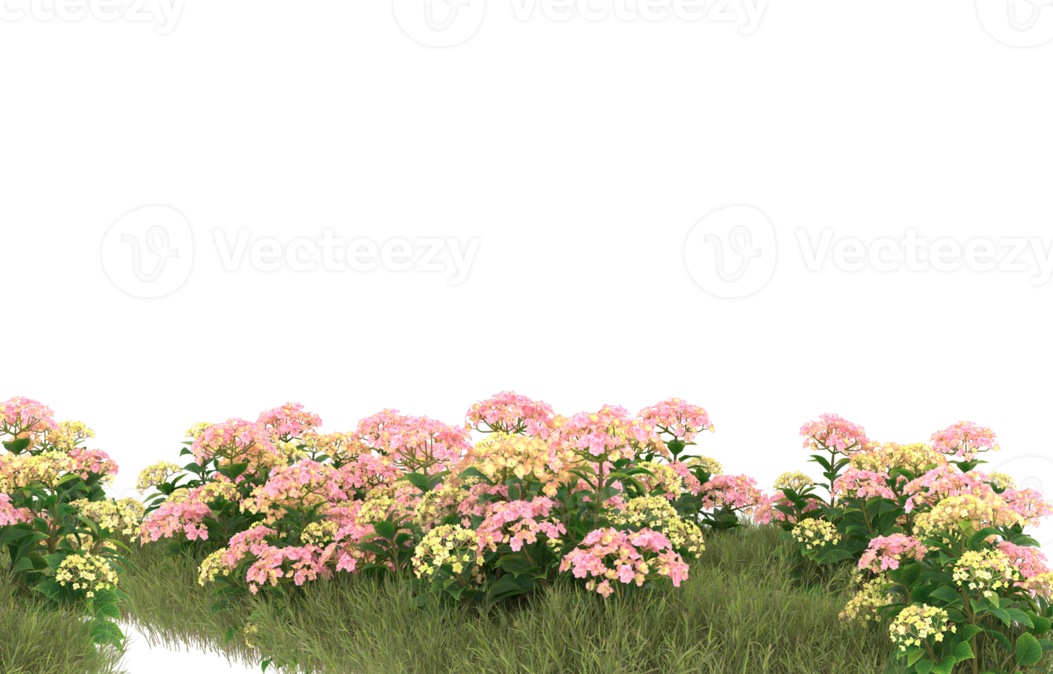 Realistic foliage isolated on transparent background. 3d rendering - illustration png