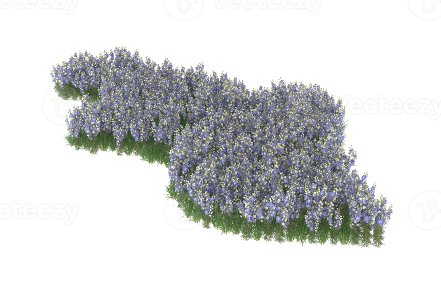 Realistic foliage isolated on transparent background. 3d rendering - illustration png