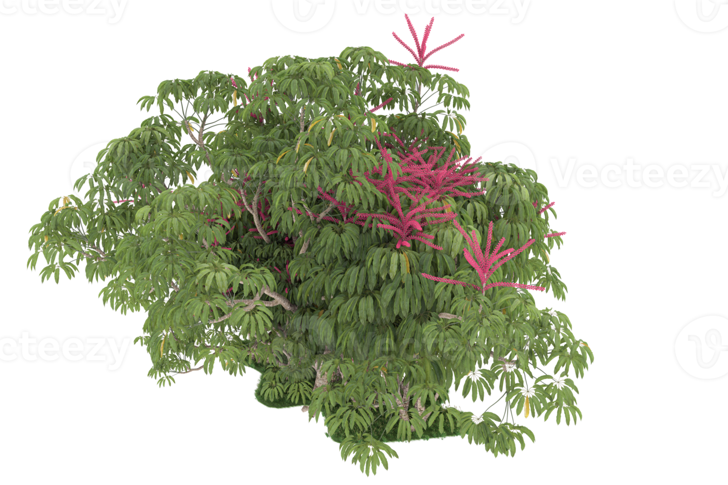 Realistic forest isolated on transparent background. 3d rendering - illustration png