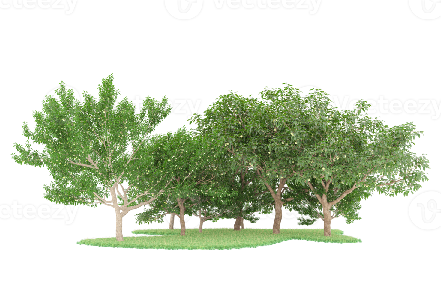 Realistic forest isolated on transparent background. 3d rendering - illustration png