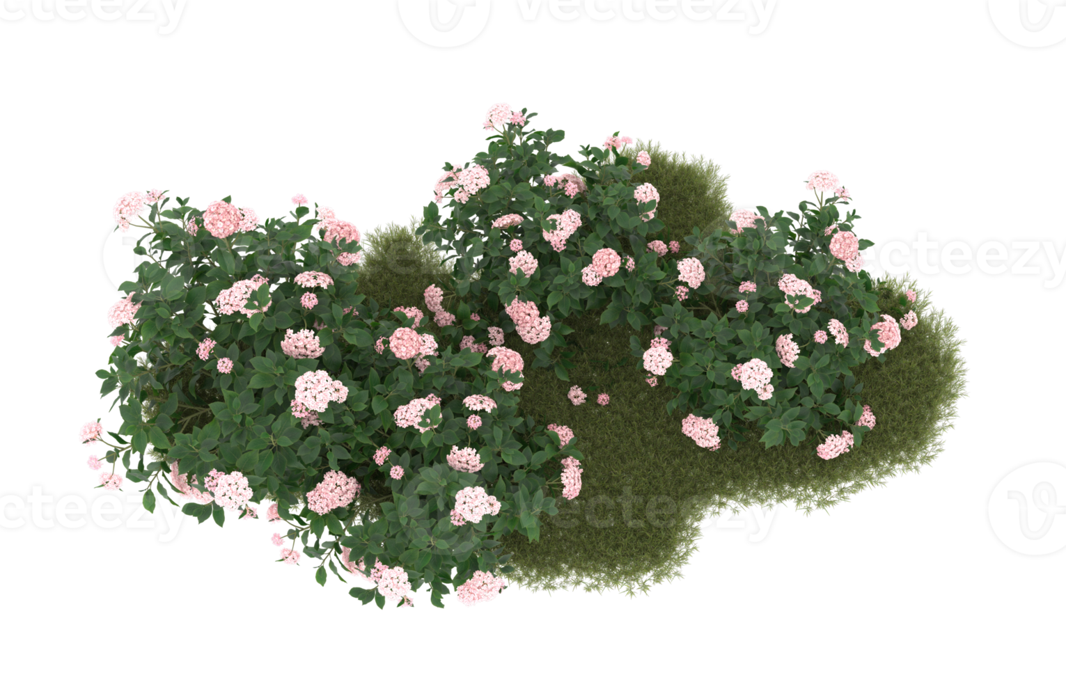 Realistic foliage isolated on transparent background. 3d rendering - illustration png