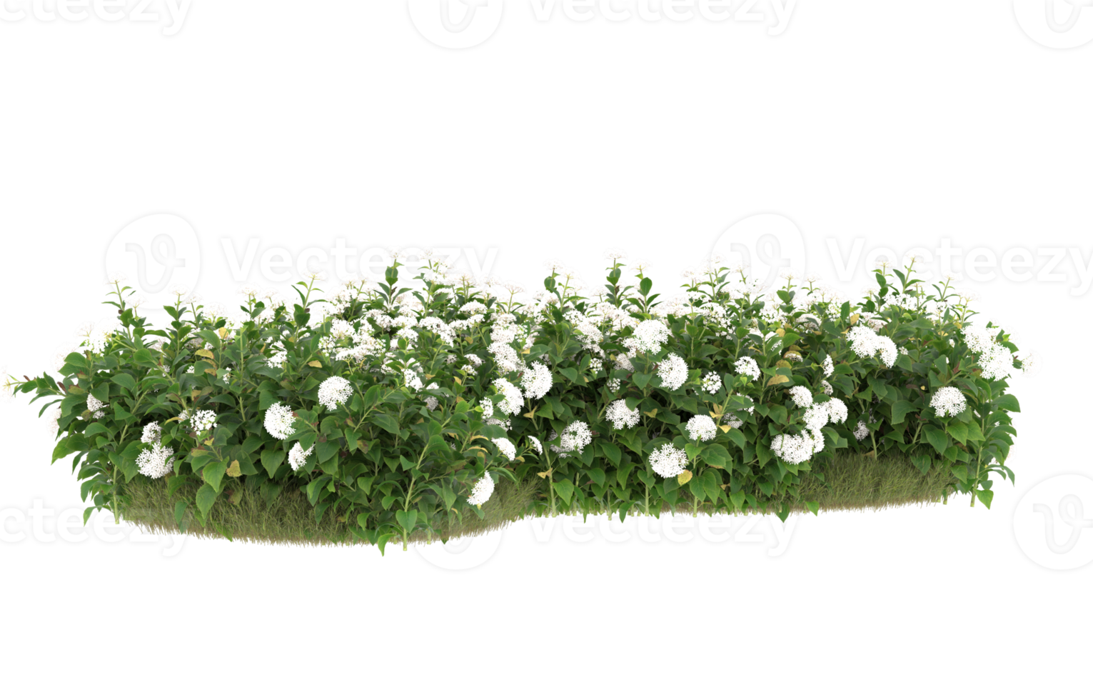 Realistic foliage isolated on transparent background. 3d rendering - illustration png