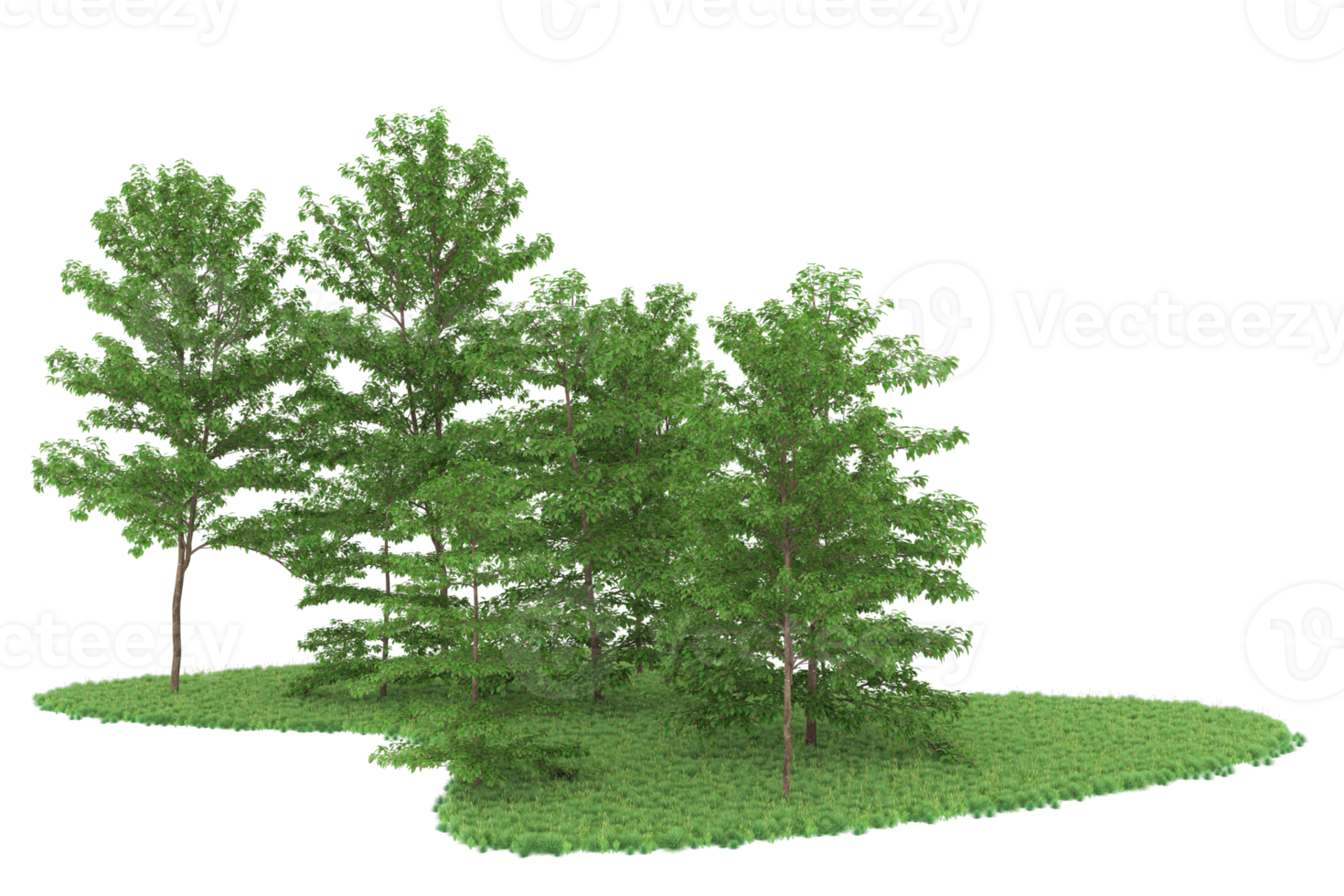 Realistic forest isolated on transparent background. 3d rendering - illustration png