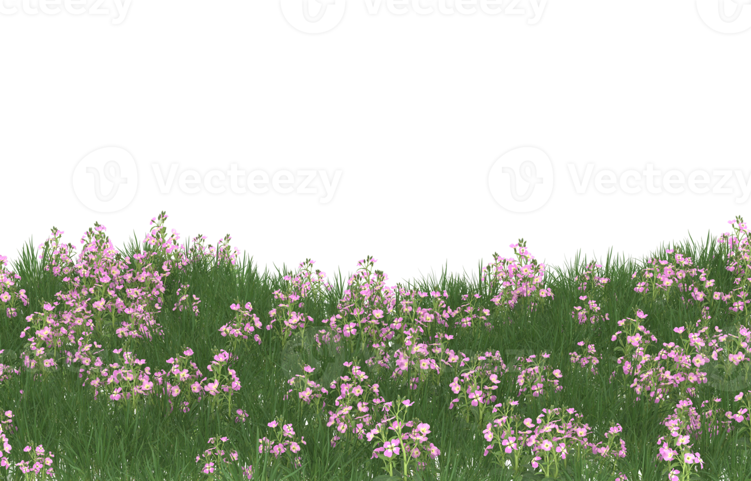 Realistic foliage isolated on transparent background. 3d rendering - illustration png