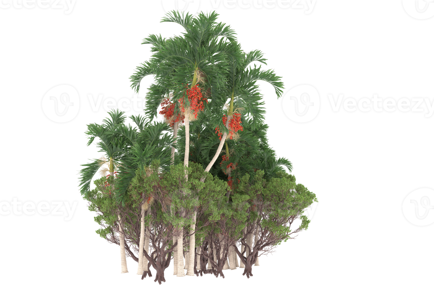 Palm trees isolated on transparent background. 3d rendering - illustration png
