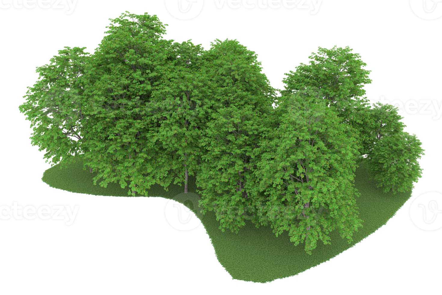 Realistic forest isolated on transparent background. 3d rendering - illustration png
