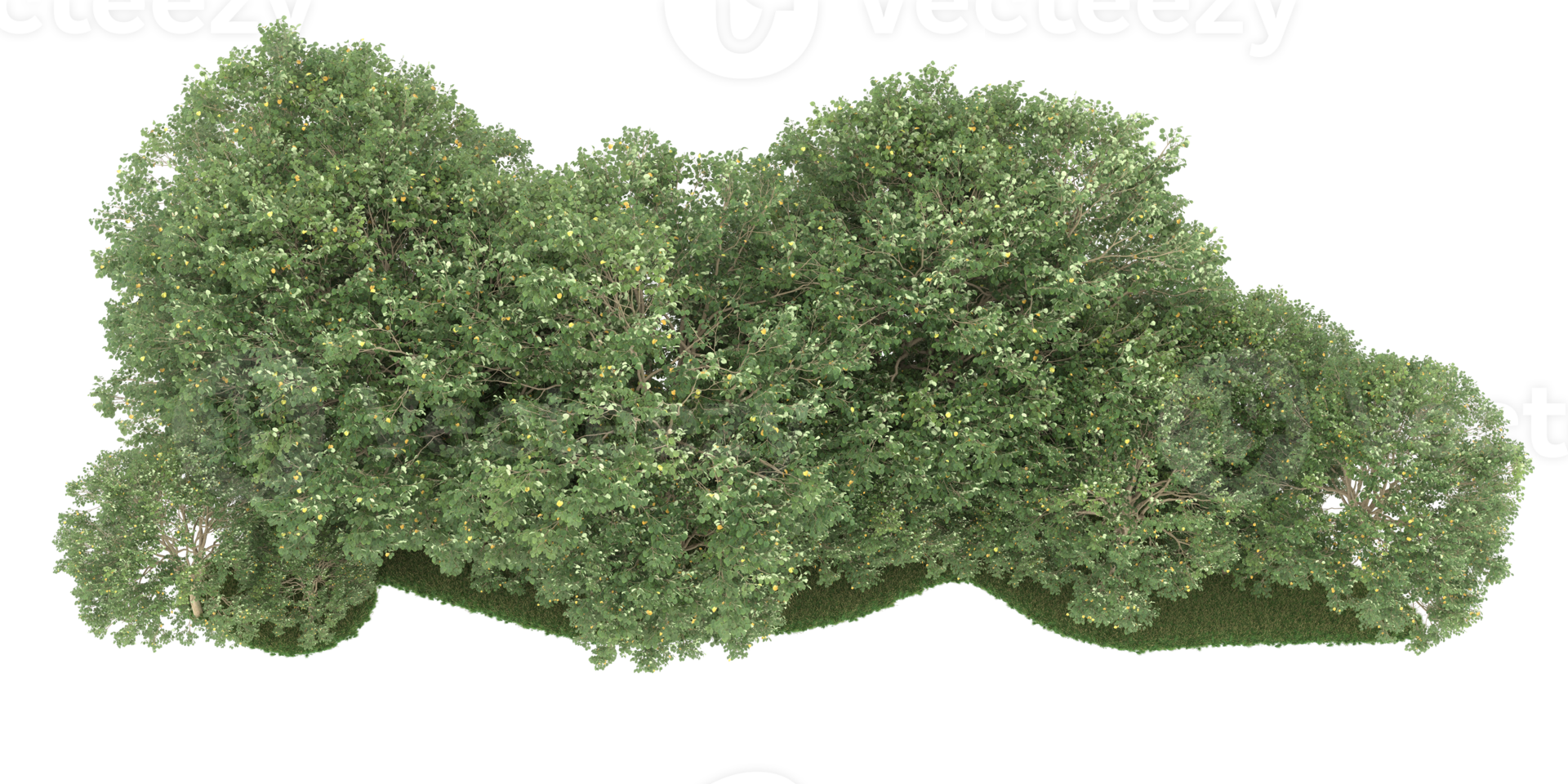 realistico foresta isolato su trasparente sfondo. 3d interpretazione - illustrazione png