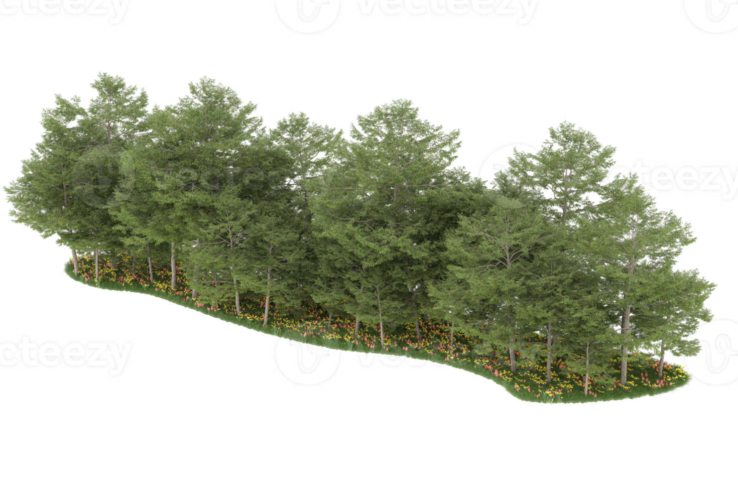 Realistic forest isolated on transparent background. 3d rendering - illustration png