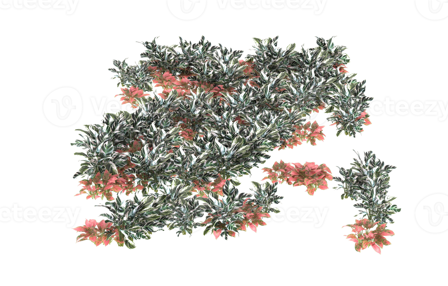 Realistic foliage isolated on transparent background. 3d rendering - illustration png