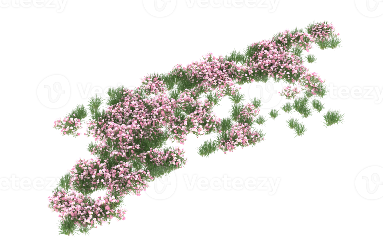 Realistic foliage isolated on transparent background. 3d rendering - illustration png